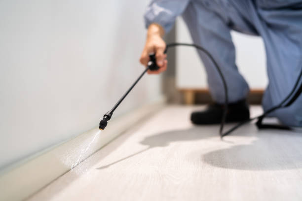 Licensed Mosquito Control service in Johnson County County, IL - Nex Pest Control